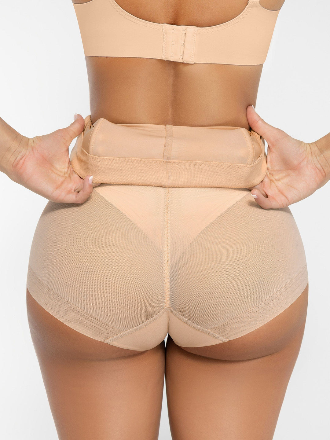 High-Standards Brief V2
